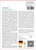 SAFLAX - Schafgarbe - Achillea millefolium - 200 Samen Produktbild-Vorschau 3