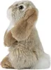 Living Nature - Coniglietto di peluche marrone seduto con Anteprima dell’immagine prodotto 2