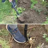 Root Slayer Pro Beetspaten 2.0 mit Stiel, ergonomisch & Produktbild-Vorschau 8