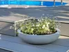 VIVANNO Coupe décorative en fibre de verre PLANA Coupe, Voir les images du produit 7