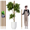 KADAX Kokosstab 150cm für Zimmerpflanzen, 4 Stück, Produktbild-Vorschau 1