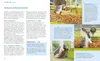 Zwergkaninchen Produktbild-Vorschau 4