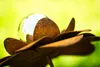 Gartenstecker Blume Metall Gartendeko Rost Edelrost Produktbild-Vorschau 4