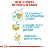 Royal Canin Labrador Retriever Junior - 3 kg Produktbild-Vorschau 5