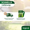 Legona Florfliegenlarven gegen Blattläuse und Thripse - 5 Produktbild-Vorschau 5