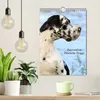 Faszination Deutsche Dogge (Wandkalender 2027 DIN A4 hoch), Produktbild-Vorschau 3
