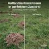 Creative Home Karbid gegen Maulwürfe Wühlmäuse | Reines Produktbild-Vorschau 4