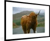 MuchoWow® MuchoWow® Gerahmtes Poster Schottisches Produktbild-Vorschau 1