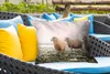 MuchoWow® Outdoor Kissen - Schafe - Nebel - Winter - 60x40 Produktbild-Vorschau 4