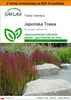 SAFLAX - Garden in the bag - Japońska Trawa - 50 Nasiona - Podgląd zdjęcia produktu 1