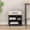 A printer stand with a printer on top and storage compartments below, next to a desk leg. Anteprima dell’immagine prodotto
