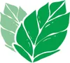 tic tac Fresh Mint Pfefferminz Dragees minzig erfrischend Produktbild-Vorschau 16