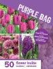 Violette Blumenzwiebeln 'The Purple Bag' 50 Stück, Höhe Produktbild-Vorschau 2