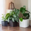 KADAX Blumentöpf "Tres", Blumentopf aus Kunststoff, Topf 30 Produktbild-Vorschau 9