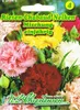 Riesen Chabaud Nelke Mischung  | Nelkensamen von N.L. Produktbild-Vorschau 3