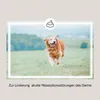 enteral akut Durchfalltabletten für Tiere zur Unterstützung Produktbild-Vorschau 2