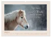 Pferdepoesie - Augenblicke voller Seele (Wandkalender 2027 Produktbild-Vorschau 4