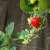 Jayseuw 100g/m² Unkrautvlies Reißfestes, 1x10 m, Produktbild-Vorschau 6