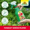 Neudorff Fungisan Gemüse-Pilzfrei 1 Liter Bekämpfung von Produktbild-Vorschau 6