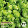 Samenliebe  Basilikum Samen | Rustik - großblättrig - Produktbild-Vorschau 4