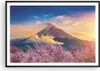 Gerahmtes Poster - Schwarzer Rahmen - Fuji Blume Kirsche - Produktbild-Vorschau 1