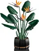 LEGO Botanicals Strelícia, Stavebnica, 18 rok / roky, Náhľad obrázku produktu 3