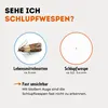 Schlupfwespen gegen Lebensmittelmotten - 12 Karten (4 Produktbild-Vorschau 2