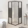 vidaXL Duschkabine mit Streifen ESG 80x80x180 cm Schwarz Produktbild-Vorschau 14