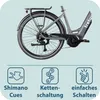Tretwerk Amber E Bike Damen 28 Zoll Elektrofahrrad 155 - Produktbild-Vorschau 6
