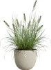 elho Sereh Rund, Beige, Kunststoff, 31 l, Rund, 39 cm, 330 Produktbild-Vorschau 2