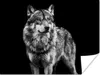 MuchoWow® Poster Wolf - Tiere - Wild - Schwarz - Weiß Produktbild-Vorschau 1
