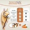 Hoofly® Hobby Horse Beige (Haflinger) - Cavallo da Anteprima dell’immagine prodotto 12