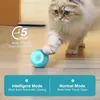 Katzenspielzeug Elektrisches Ball,mit LED Licht, mit Produktbild-Vorschau 2