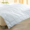 Kamelhaar Bettdecke 100% Kamelhaar Kamelhaardecke Duo warm Produktbild-Vorschau 3