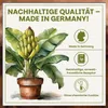 Green Home Bananenerde 36 L – für Bananen & Tropenpflanzen, Produktbild-Vorschau 6