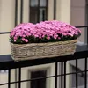 Rattan Balkonkasten natur - 44 x 17 cm - Weide Pflanzkorb Produktbild-Vorschau 5