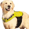 Nobby Pet Schwimmhilfe, M, neon gelb, 35 cm Produktbild-Vorschau 4