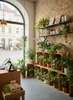 A retail store interior with shelves of plants and wooden crates. Anteprima dell’immagine prodotto