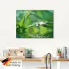 ARTland Glasbild Grüner Hintergrund mit Gras Größe: 50x50 Produktbild-Vorschau 5