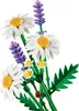 LEGO Botanicals Gänseblümchen - Kunstblumen mit Produktbild-Vorschau 3