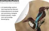 MuchoWow® Produktbild-Vorschau 4
