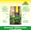 Neudorff NeudoHum Grünpflanzen & PalmenErde - 3 Liter Produktbild-Vorschau 4