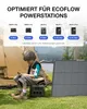 ECOFLOW NextGen 160W Solarpanels Faltbar Solarmodul Produktbild-Vorschau 7