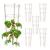 Podpera na rastliny 6ks 76cm, RD45109 Náhled obrázku produktu 1
