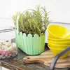EMSA LANDHAUS KÖRBCHEN Blumenkübel 28x18 cm, weiß, 513924 Produktbild-Vorschau 7