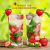 KONZEPT Gläser Set 12 teilig, Glas 310ml und  330ml - Produktbild-Vorschau 5
