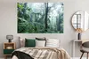 MuchoWow® Poster Ein nebliger Regenwald in Costa Rica Produktbild-Vorschau 4