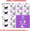 A size chart for cat food, showing feeding recommendations based on weight and whether the cat is overweight or ideal weight. It also shows options for feeding kibble only or kibble with wet food. Náhled obrázku produktu