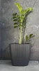 Prosperplast Blumentopf Übertopf Oro herausnehmbar Produktbild-Vorschau 7