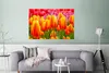 MuchoWow® Poster Orangene Tulpen im Keukenhof in den Produktbild-Vorschau 5